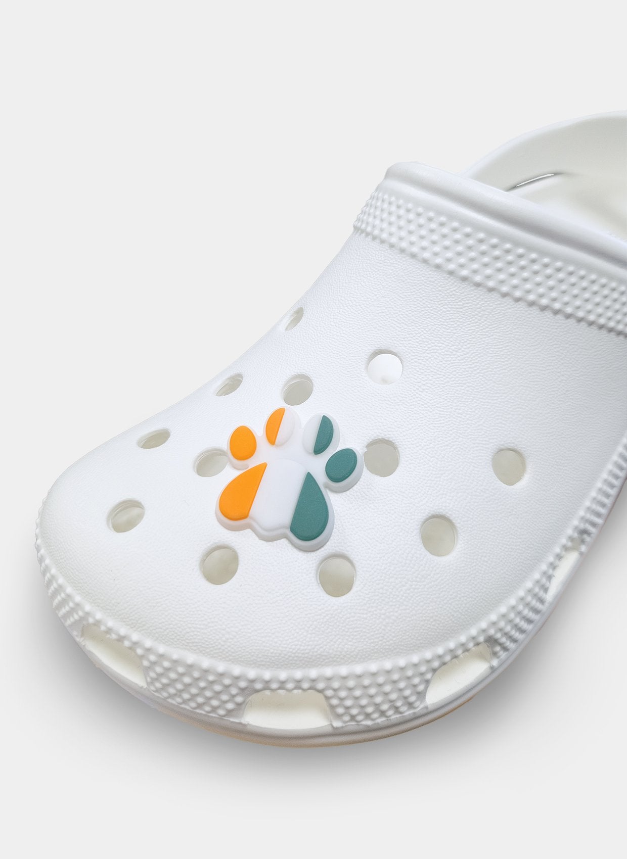 clog charm vet lucky little paw