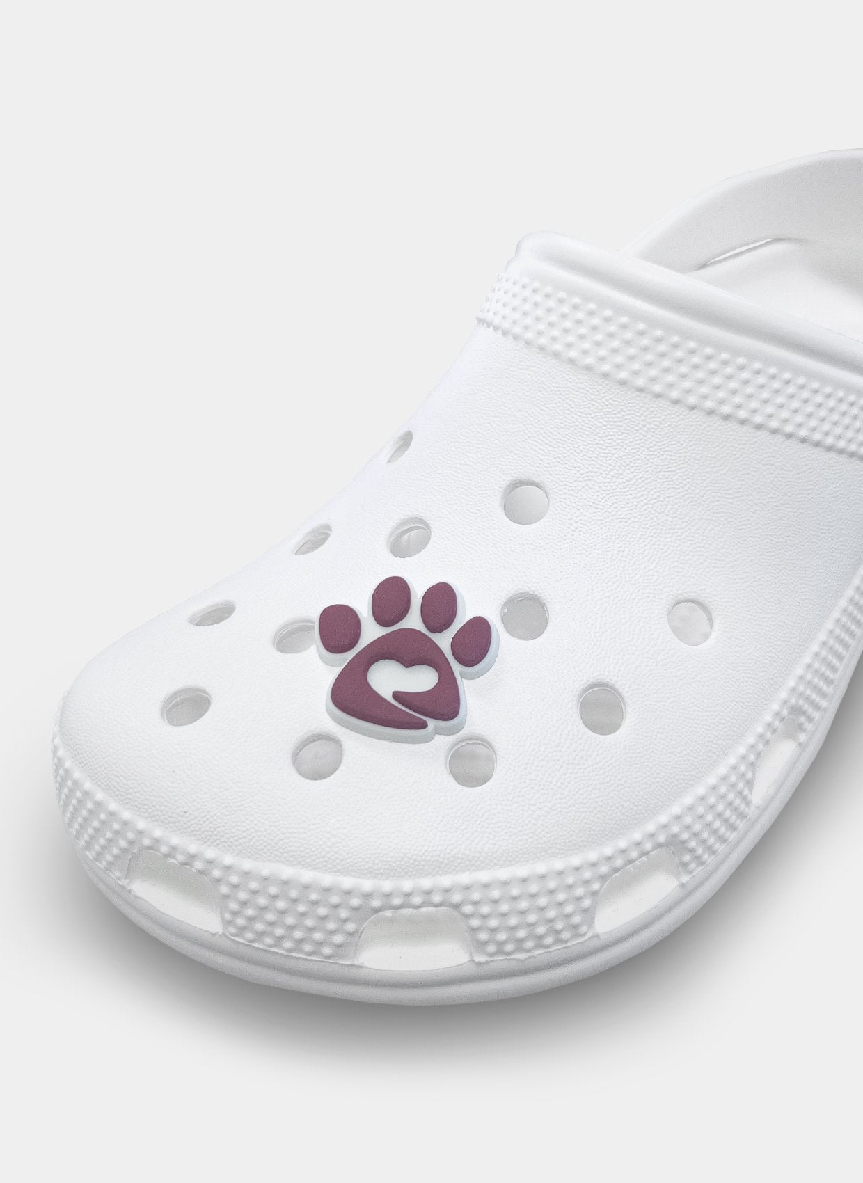 clog charm vet puppy kisses paw