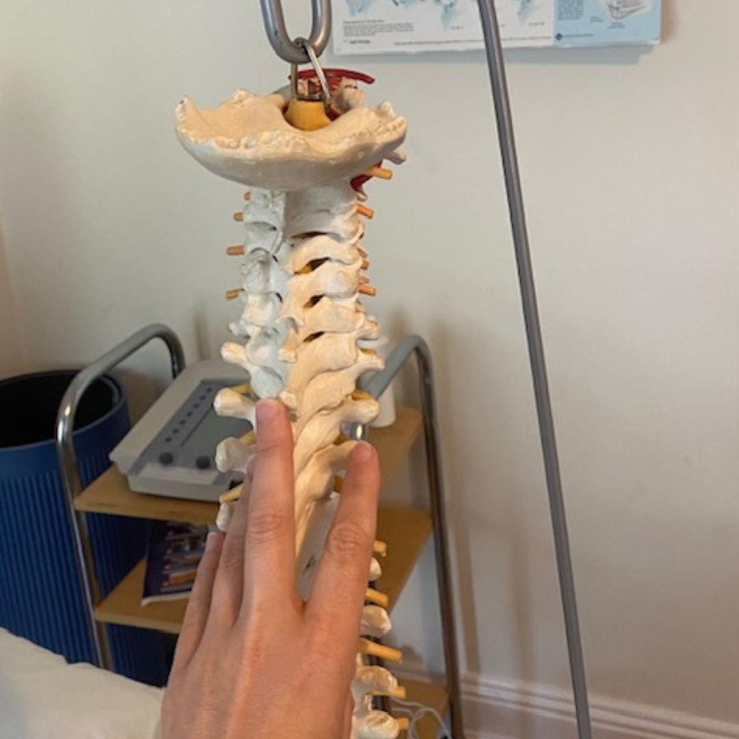 My journey as a Chartered Physiotherapist: From hospitals to private practice