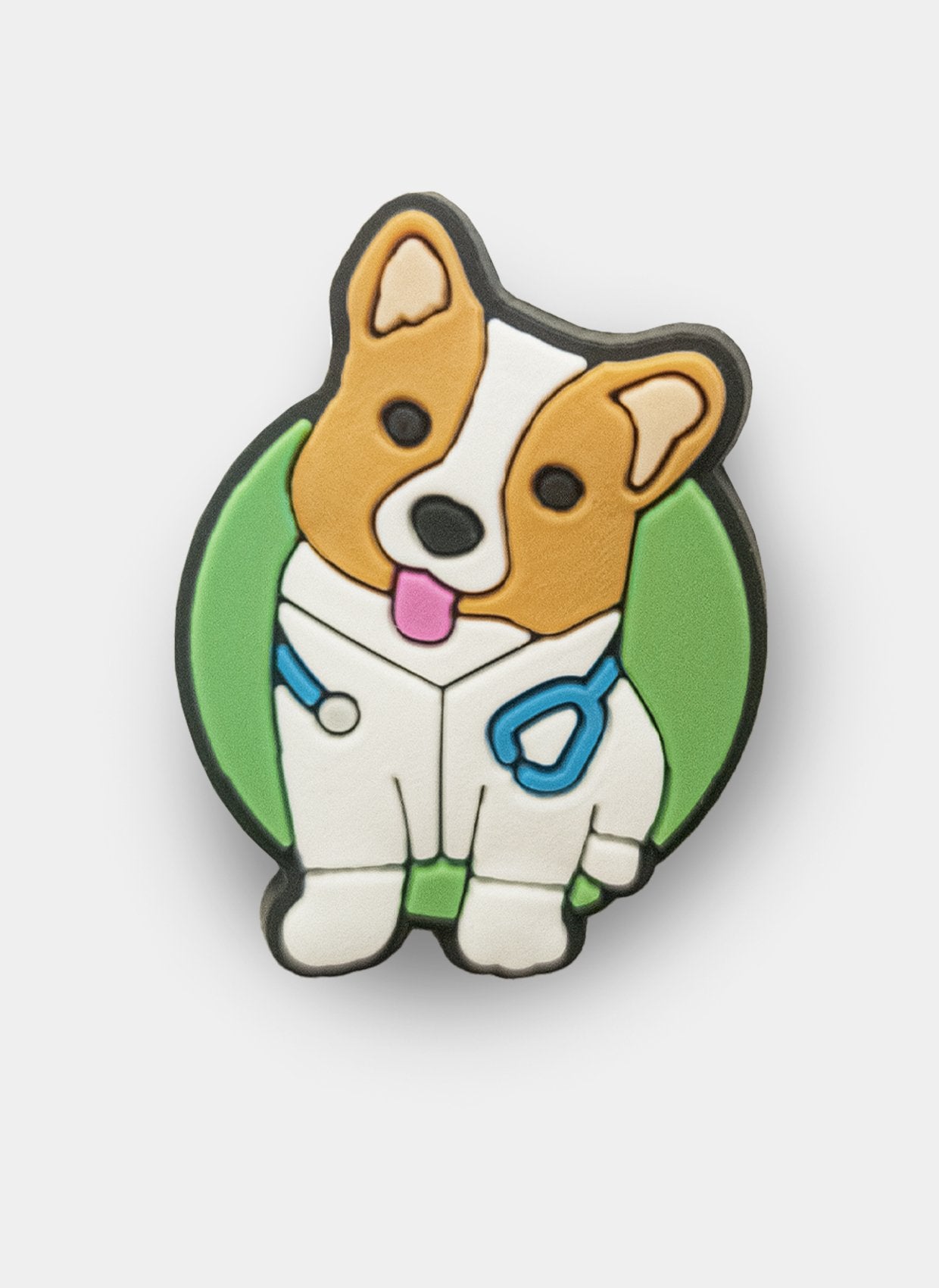 clog charm vet pawsitive care