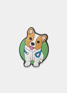 clog charm vet pawsitive care