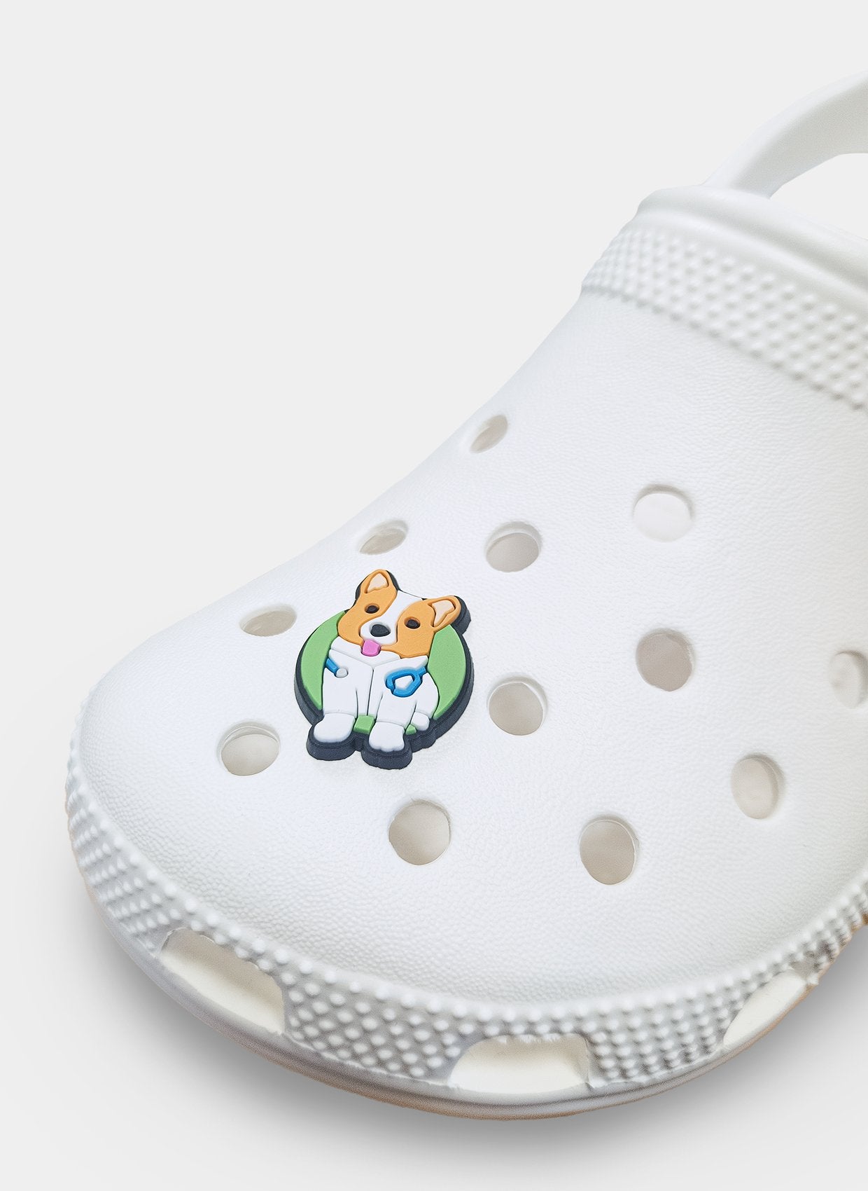 clog charm vet pawsitive care